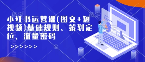 小红书运营课(图文+短视频)基础规则、策划定位、流量密码-资源鲟