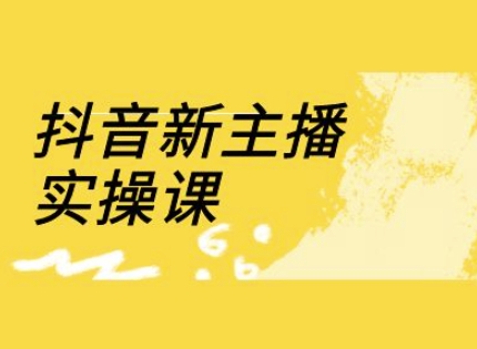 抖音新主播实操课，直播间流量运营线上实操课(18节)-资源鲟