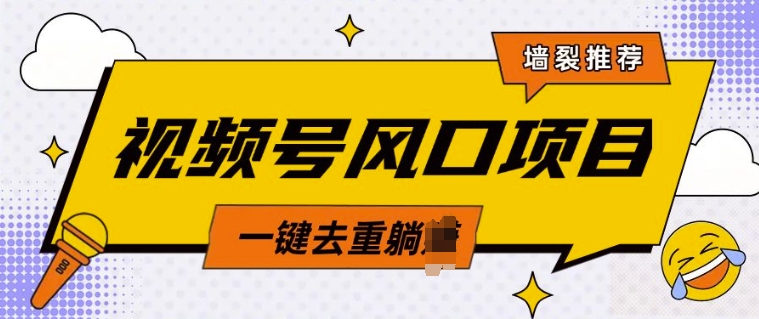 视频号风口蓝海项目，中老年人的流量密码，简单无脑，一键去重，轻松月入过W-资源鲟