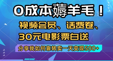 0成本薅羊毛!视频会员、话费卷、30元电影票白送，分享我如何靠转卖一天变现5张+【揭秘】-资源鲟