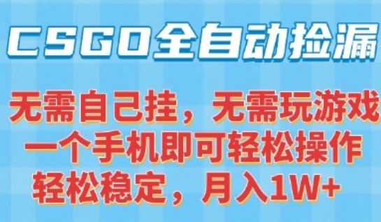 CSGO自动捡漏项目，最新独家玩法，一个手机可操作，新手小白轻松月入1W+，操作简单易上手【揭秘】-资源鲟