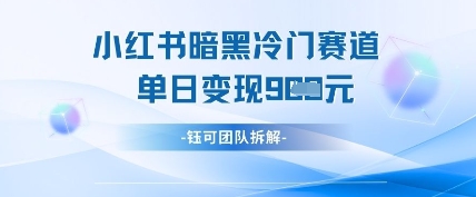 小红书冷门”暗黑”赛道，单日收益多张-资源鲟