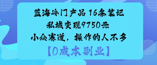 蓝海冷门产品：16条笔记私域变现9750米小众赛道，操作的人不多-资源鲟