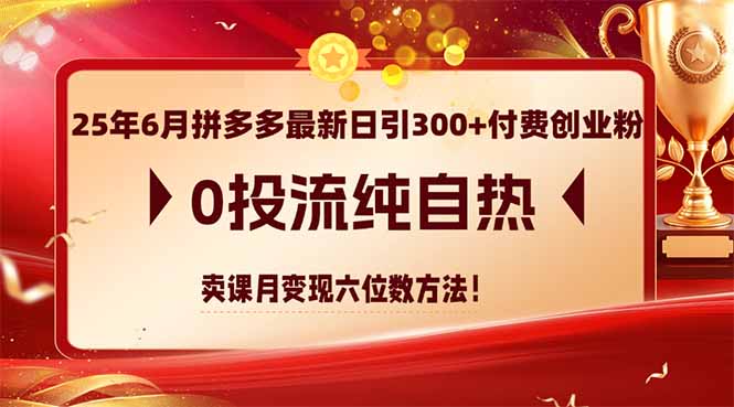 （14989期）25年6月拼多多最新日引300+付费创业粉，0投流纯自热 卖课月变现六位数方法-资源鲟