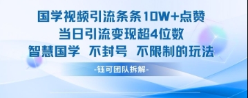 国学视频引流条条10W+点赞当日引流变现超4位数-资源鲟