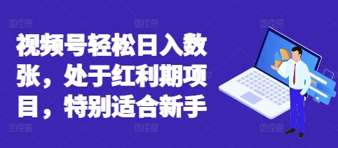 视频号轻松日入数张，处于红利期项目，特别适合新手-资源鲟