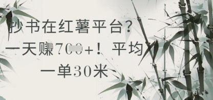 抄书在小红薯平台？平均一单30米，一天收益几张！-资源鲟