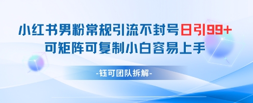 小红书男粉常规引流不封号日引99+变现简单 可矩阵可复制小白容易上手-资源鲟
