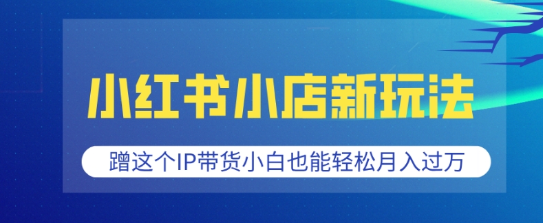 小红书小店新玩法，蹭这个IP带货，小白也能轻松月入过W【揭秘】-资源鲟