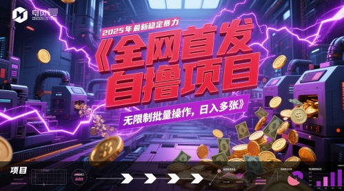 全网首发，2025年最新稳定暴力全自动自撸项目，无限制批量操作，日入多张【揭秘】-资源鲟