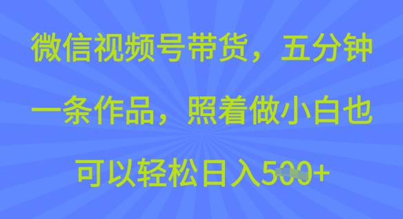 微信视频号带货，五分钟一条作品，照着做小白也可以轻松日入5张-资源鲟