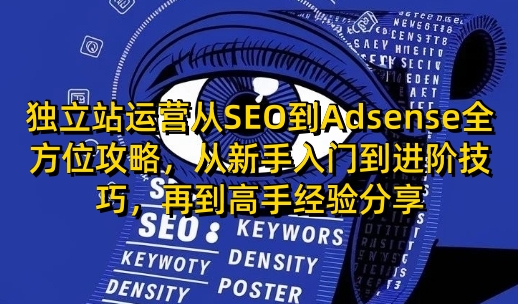 独立站运营从SEO到Adsense全方位攻略，从新手入门到进阶技巧，再到高手经验分享-资源鲟