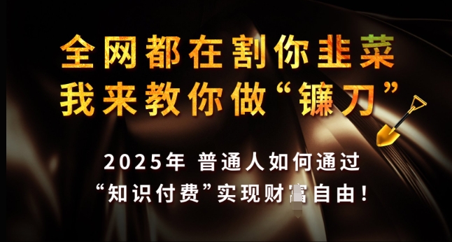 全网都在割你韭菜，我来教你做镰刀，2025年普通人如何通过 知识付费 实现财F自由【揭秘】-资源鲟