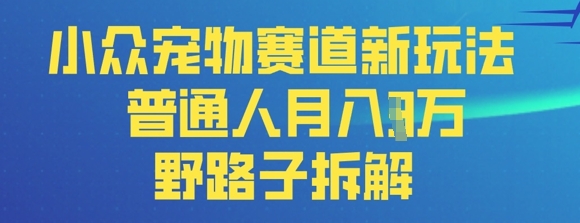 小众宠物赛道新玩法，普通人月入过1W的野路子拆解-资源鲟