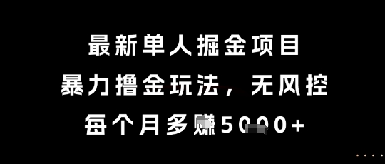 最新单人掘金项目，暴力撸金玩法，无风控，每个月多挣5k+【揭秘】-资源鲟