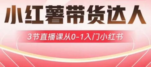 小红薯达人带货启航计划，3节直播课从0-1入门小红书-资源鲟