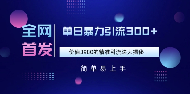 全网首发，价值3980单日暴力引流300+的精准引流法大揭秘-资源鲟