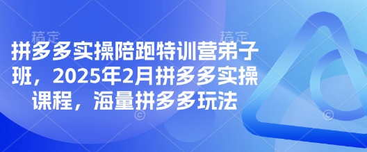 拼多多实操陪跑特训营弟子班，2025年2月拼多多实操课程，海量拼多多玩法-资源鲟