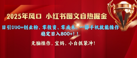 25年风口小红书图文掘金，日引300+创业粉、零投资、零成本、一部手机就能操作-资源鲟