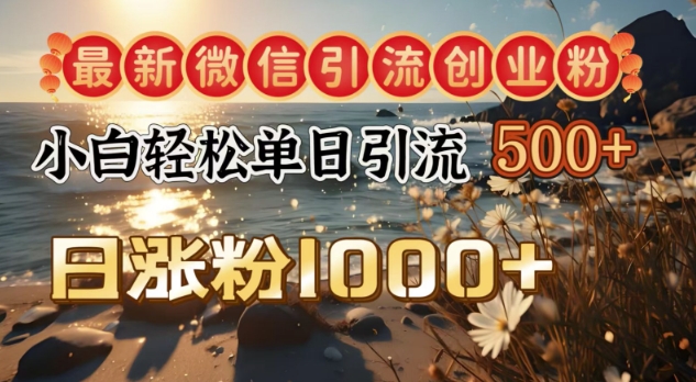 最新微信引流创业粉，小白单日轻松引流500+，日涨粉1000+-资源鲟