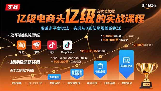 （15803期）亿级电商头部卖家的实战课程：涵盖多平台玩法，实现从0到亿级规模的跃迁-资源鲟