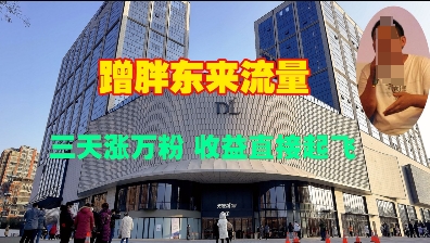 蹭胖东来流量，三天涨万粉，收益直接起飞-资源鲟