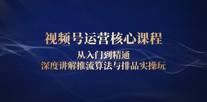 （13863期）视频号运营核心课程，从入门到精通，深度讲解推流算法与排品实操玩-资源鲟