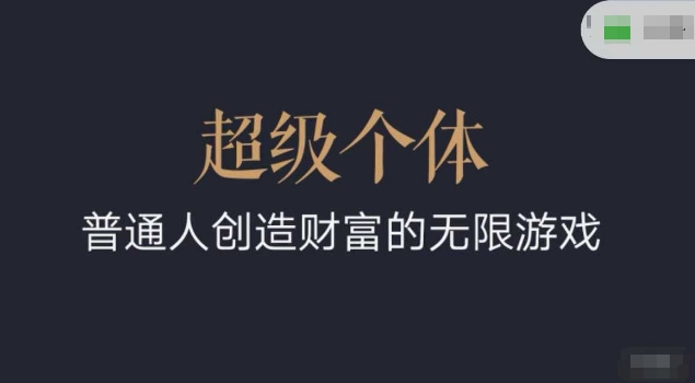 超级个体2024-2025翻盘指南，普通人创造财富的无限游戏-资源鲟