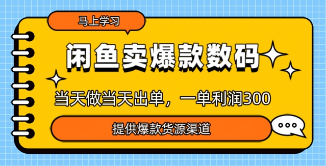 闲鱼卖爆款货源，当天做当天出单，一单利润3张-资源鲟