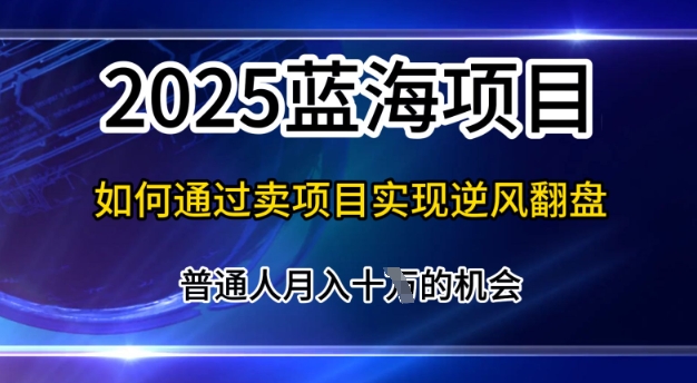 2025蓝海项目，普通人如何通过卖项目实现逆风翻盘，月入10个【揭秘】-资源鲟