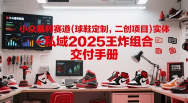 小众暴利赛道(球鞋定制，二创项目)实体+私域2025王炸组合  交付手册-资源鲟
