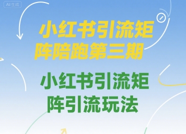小红书引流矩阵陪跑第三期，小红书引流矩阵引流玩法-资源鲟