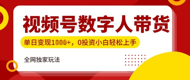 最新视频号数学人带货实操玩法，新手单日轻松多张，全程干货-资源鲟