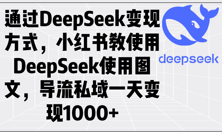 （14179期）通过DeepSeek变现方式，小红书教使用DeepSeek图文，导流私域一天变现1000+-资源鲟