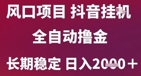 风口项目，六月最新玩法抖音无人挂G，全自动撸金，长期稳定 日入2k+【揭秘】-资源鲟