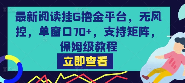最新阅读挂G撸金平台，无风控，单窗口70+，支持矩阵，保姆级教程【揭秘】-资源鲟