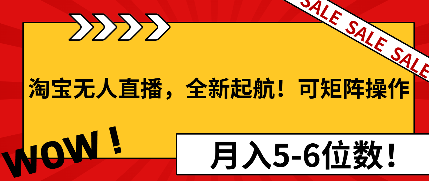 （13946期）淘宝无人直播，全新起航！可矩阵操作，月入5-6位数！-资源鲟