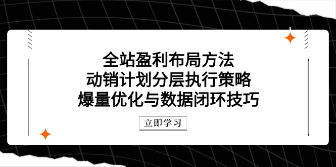 （14698期）全站盈利布局方法：动销计划分层执行策略，爆量优化与数据闭环技巧-资源鲟