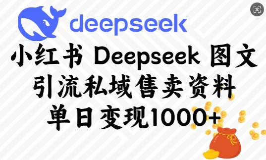小红书Deepseek图文引流私域售卖资料，单日变现多张-资源鲟