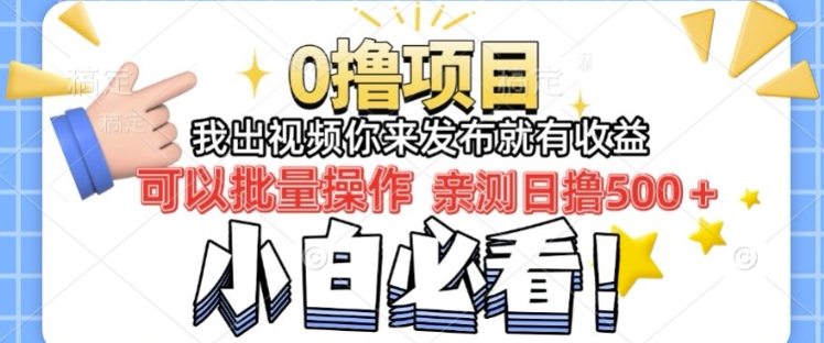 我出视频你直接领取发布就有收益日入几张的0撸项目，速度搞-资源鲟