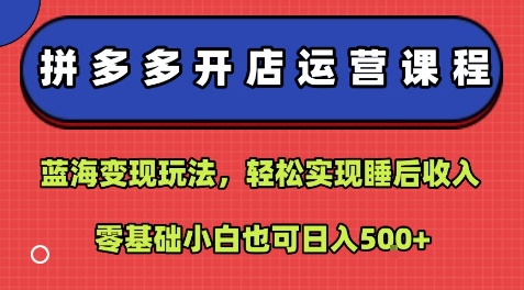 拼多多开店运营课程：蓝海变现玩法，轻松实现睡后收入，零基础小白也可日入5张-资源鲟