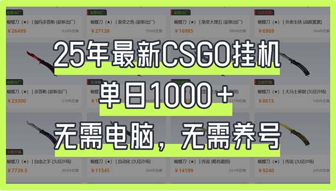 （14178期）25年最新CSGO挂机系统，单日1000+，无需电脑，无需养号，0基础可上手-资源鲟