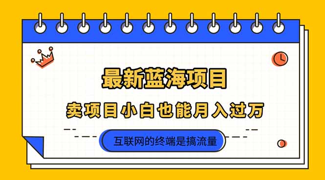 （14289期）2025年最新蓝海项目，卖项目小白也能月入过万-资源鲟