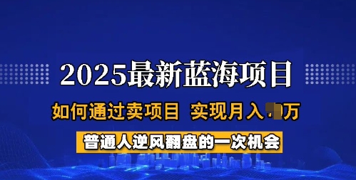 2025蓝海项目，普通人如何通过卖项目，实现月入过W，全过程【揭秘】-资源鲟