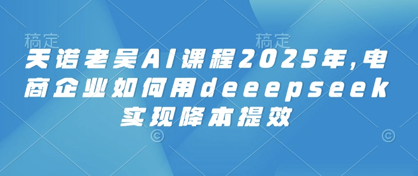 天诺老吴AI课程2025年，电商企业如何用deeepseek实现降本提效-资源鲟
