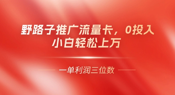 0门槛推广流量卡，一单收益上百，0投入，小白月入过W-资源鲟