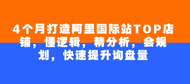 4个月打造阿里国际站TOP店铺，懂逻辑，精分析，会规划，快速提升询盘量-资源鲟