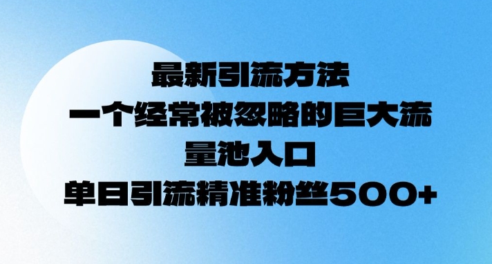 最新引流方法，一个经常被忽略的巨大流量池入口，单日精准引流粉丝500-资源鲟