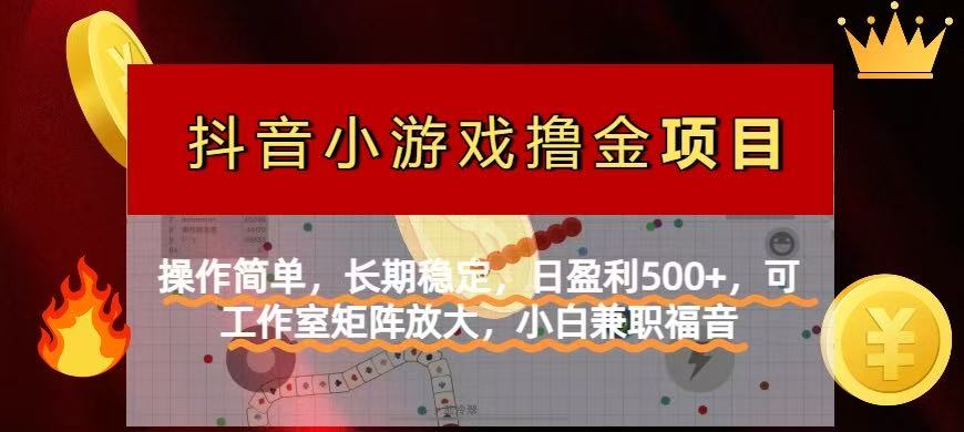 （14290期）【抖音小游戏发行人计划项目】操作简单，长期稳定，日盈利500+，可工作…-资源鲟