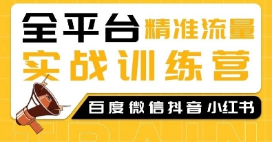 全平台精准流量实战训练营，百度微信抖音小红书SEO引流教程-资源鲟
